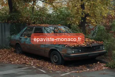 épaviste gratuit